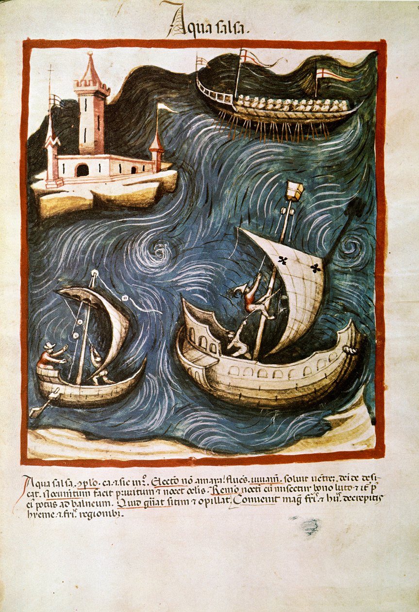 Comercio de medicina: “agua salada” Página tomada de “Tacuinum sanitatis” (Cod. ser. nov. 2644) Alrededor de 1400 de Unknown artist