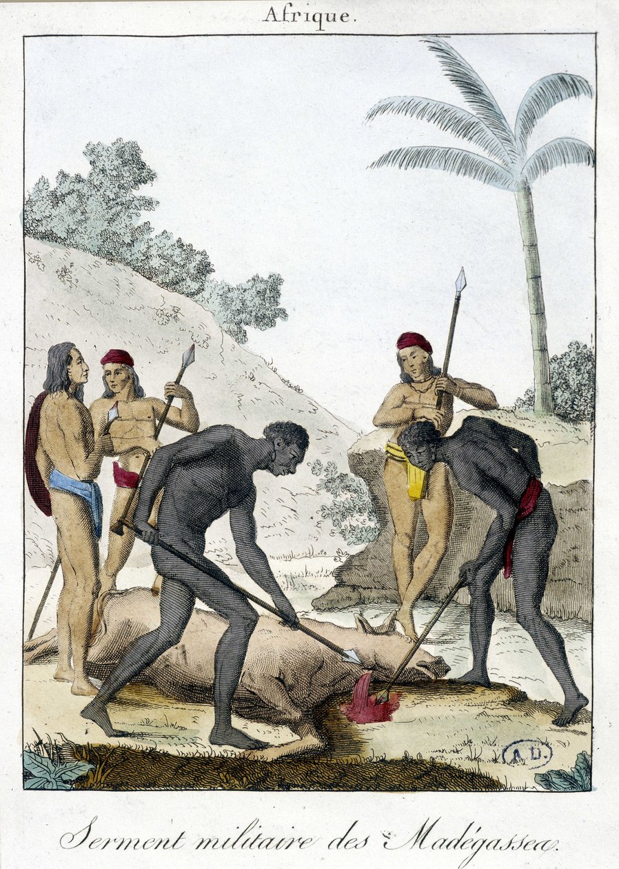Juramento militar de los habitantes de Madagascar (sacrificaron un buey) - grabado 1811 de Unknown artist