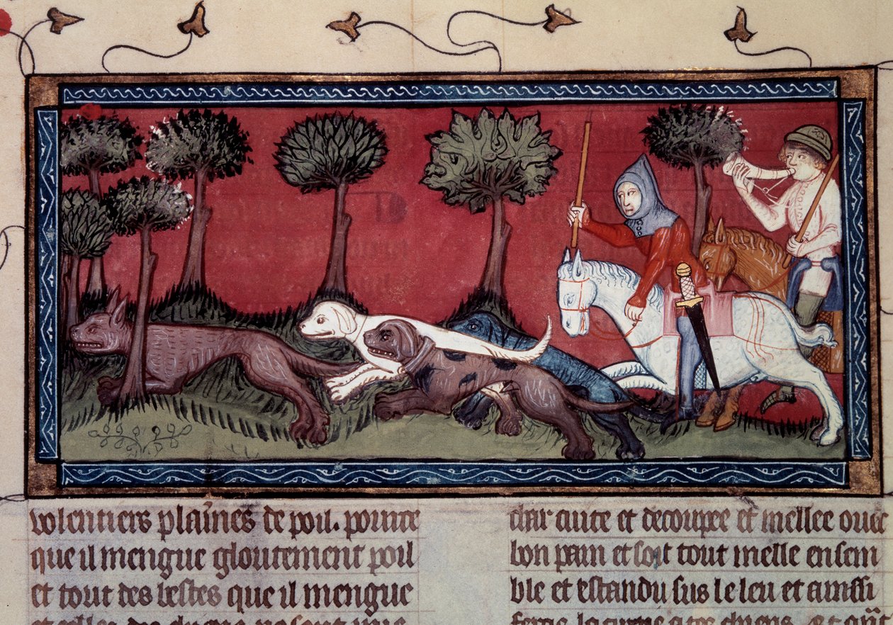 Caza de zorros en miniatura del manuscrito fr. 1297 libro del Rey Modus y la Reina Ratio por Henri de Ferrieres (siglo XIV) de Unknown artist