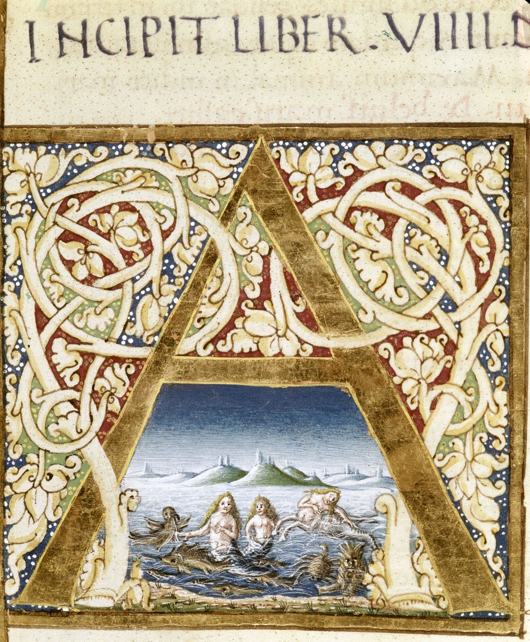 Miniatura que representa sirenas. Letra “A” - en “Naturalis Historiae” por Plinio el Viejo (23 - 79), ed. 1480. Biblioteca Victoria & Albert de Unknown artist