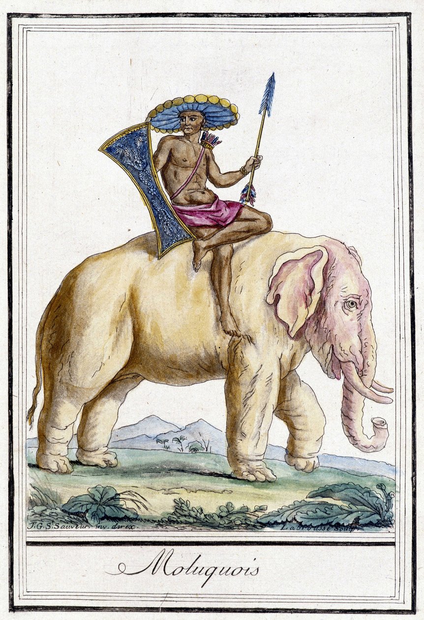 Hombre de Molucas en un elefante (Islas Molucas, Indonesia) de Unknown artist