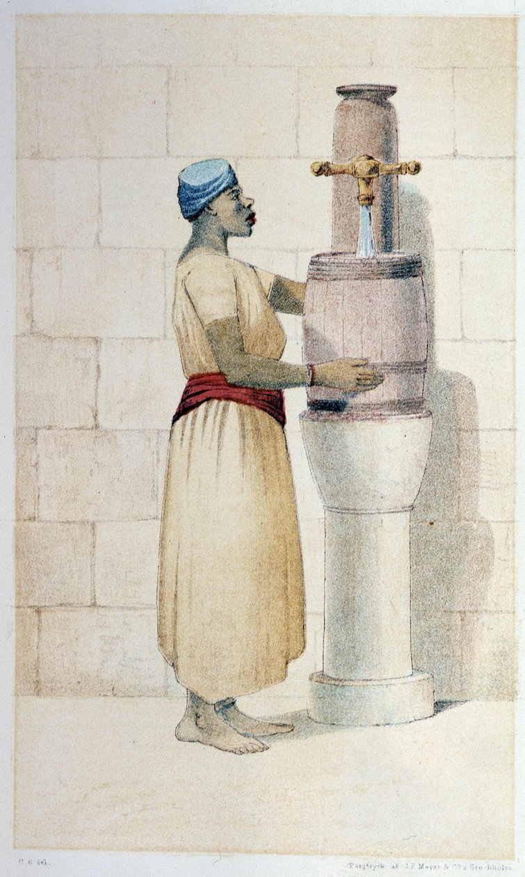 Mulato de Oceanía - en “Primera circunnavegación sueca” de Skogman Carl Johan Alfred, ed. Estocolmo, Adolf Bonnier de Unknown artist