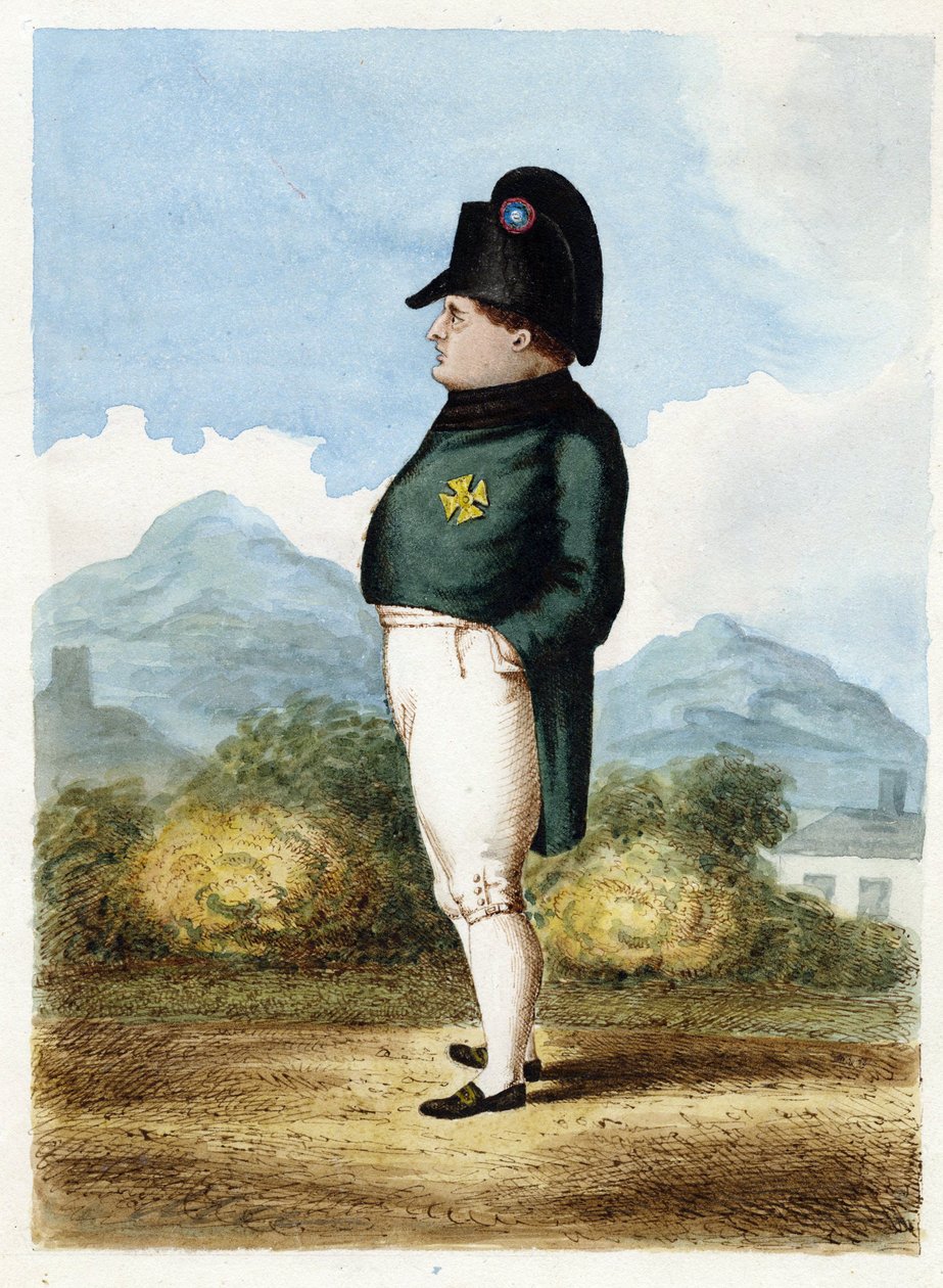 Napoleón Bonaparte en la isla de Santa Elena de Unknown artist