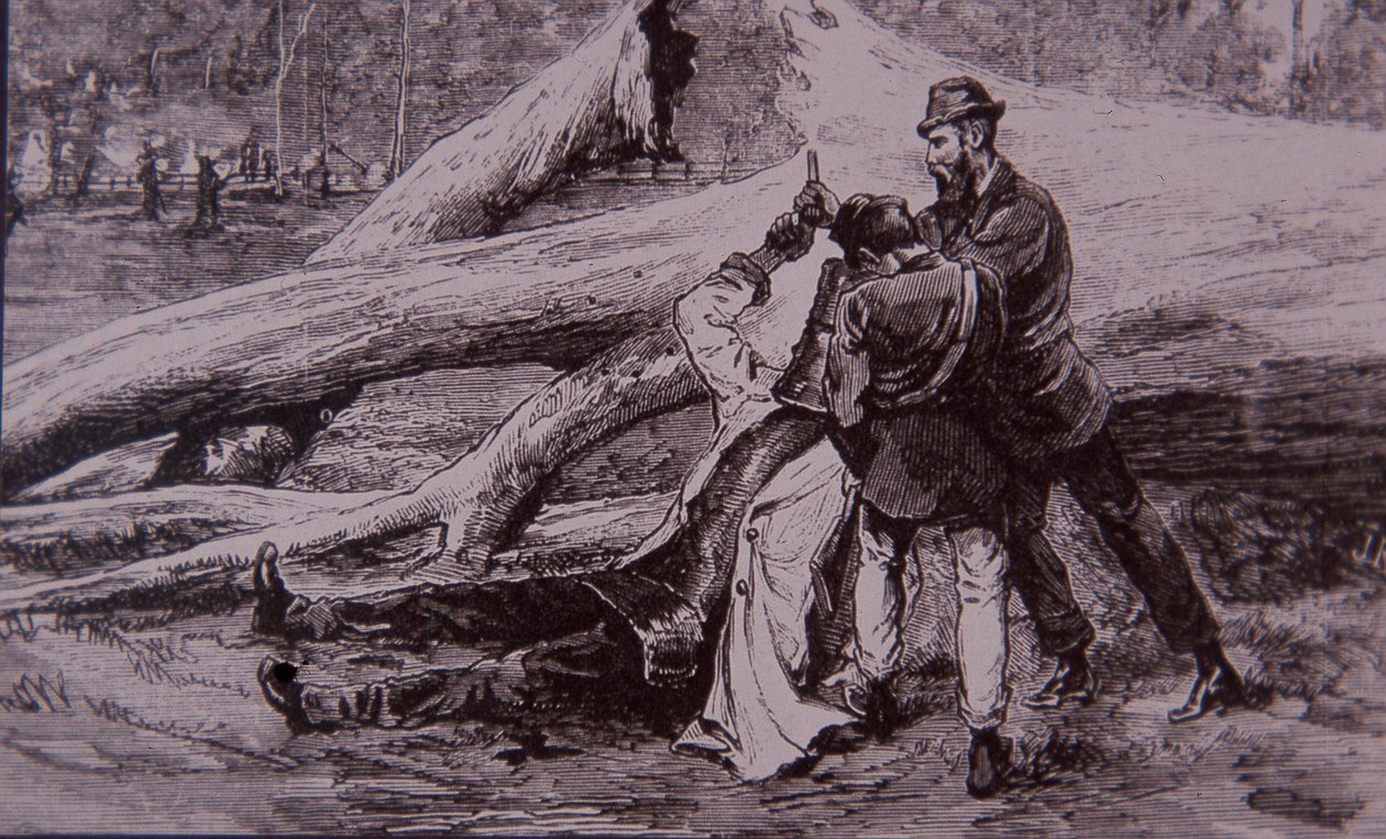 Ned Kelly capturado por el policía Kelly y el ferroviario Jesse Dowsett, 28 de junio de 1880 (grabado) de Unknown artist