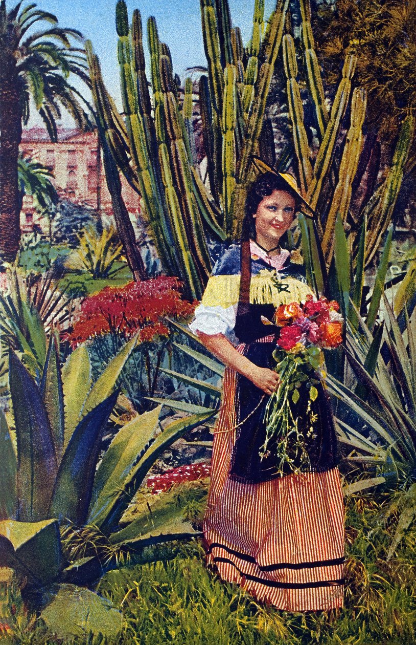 Nicoise. Tarjeta postal hacia 1930. Archivos municipales de Niza. de Unknown Artist