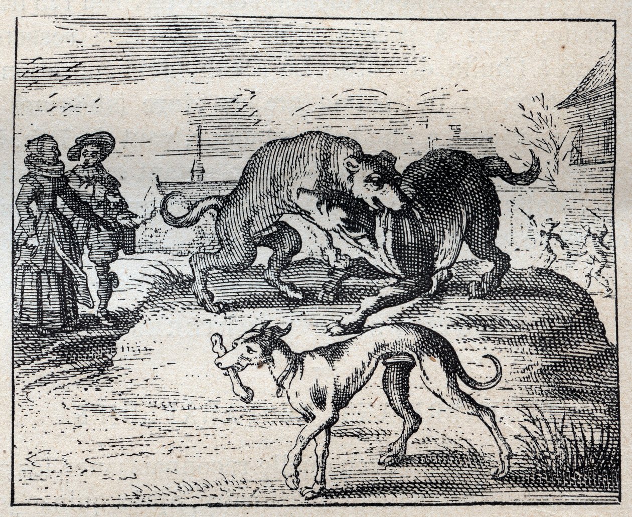 Viejo proverbio inglés: dos perros luchan por un hueso y el tercero se lo lleva de Unknown artist