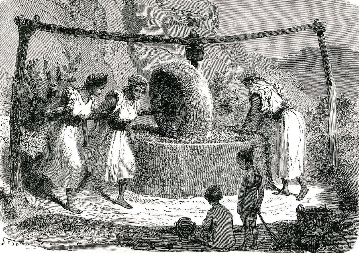 Molino de aceitunas en Argelia 1885 de Unknown artist