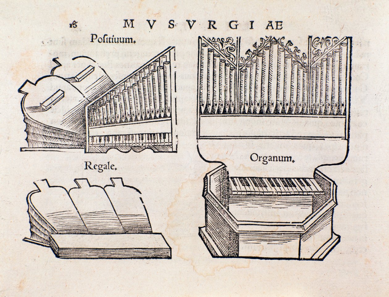 Representación de órgano. Página tomada del manual práctico de música Musurgia de Unknown artist