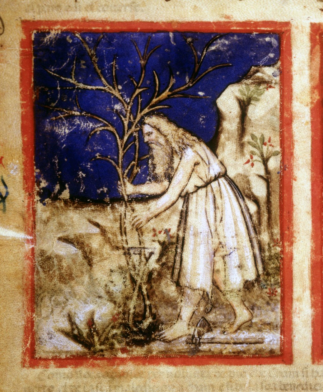 Página de un manuscrito de la Biblia. La vida vegetal de Noé. Miniatura del códice 212 (o códice padovano o Biblia de Padua) 1390-1400 Rovigo, Accademia dei Concordi de Unknown artist
