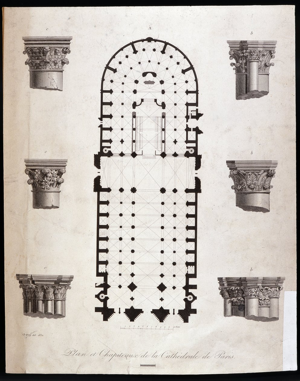 Plano y capiteles de la catedral Notre Dame en París. Siglo XIX de Unknown artist