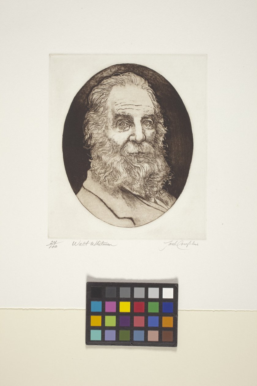 Retrato de Walt Whitman (tinta, grabado) de Unknown artist