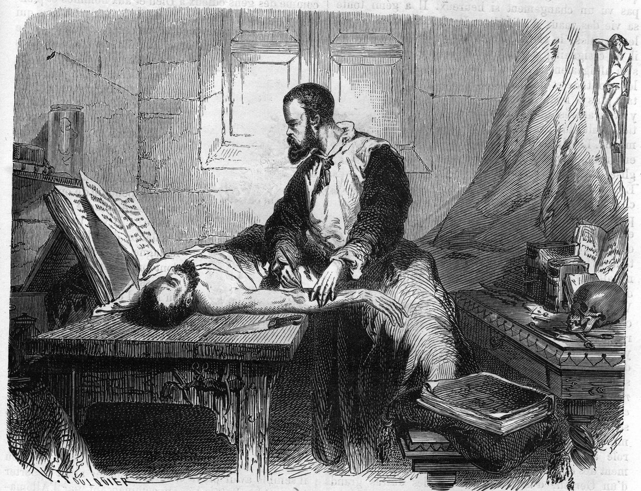 Retrato de André Vésale (1514-1564), anatomista holandés (En latín: Andrea Vesalius, holandés: Andries Van Wesel). Grabado de 1866. de Unknown artist