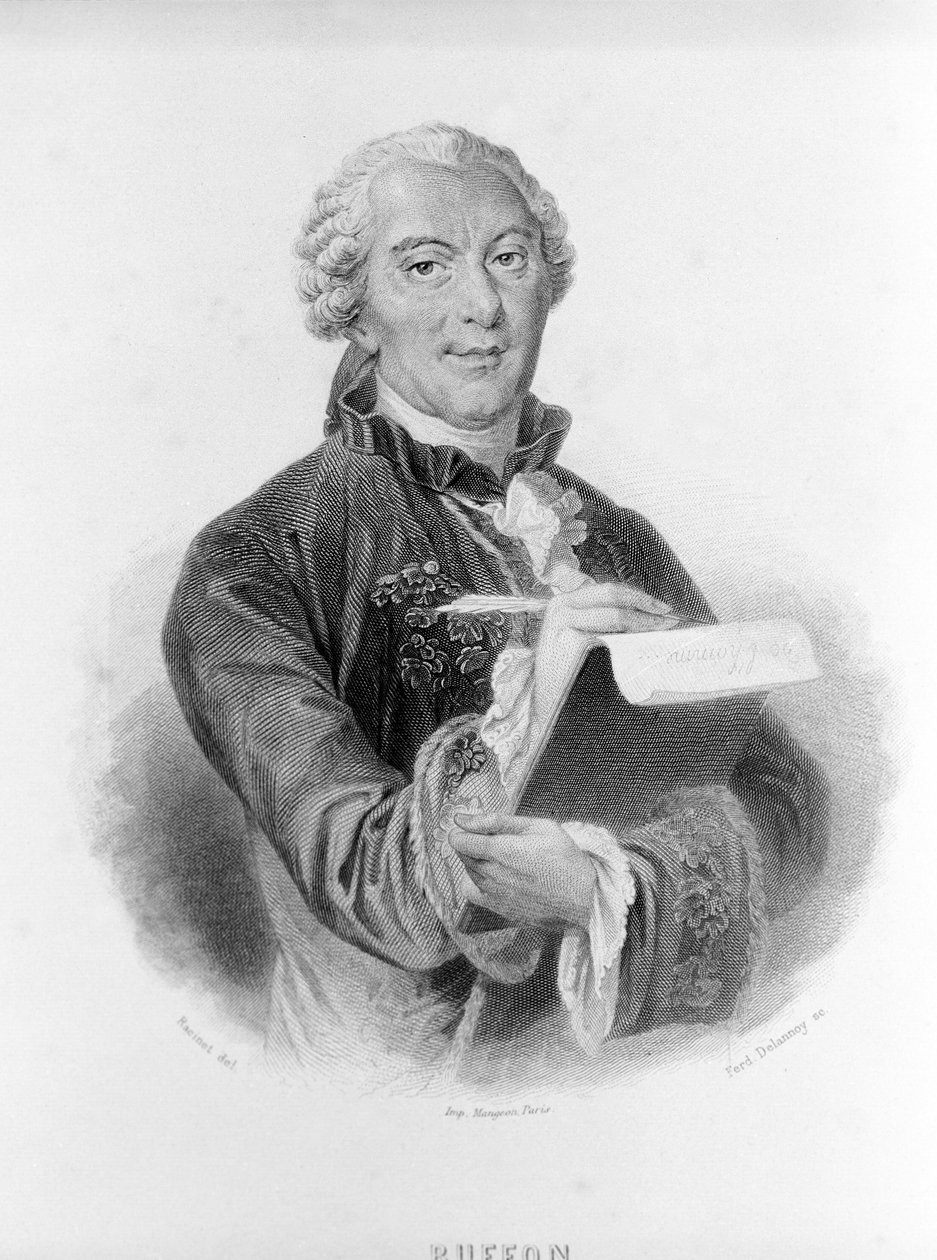 Retrato de Buffon (1707 - 1788), naturalista y escritor francés. de Unknown artist
