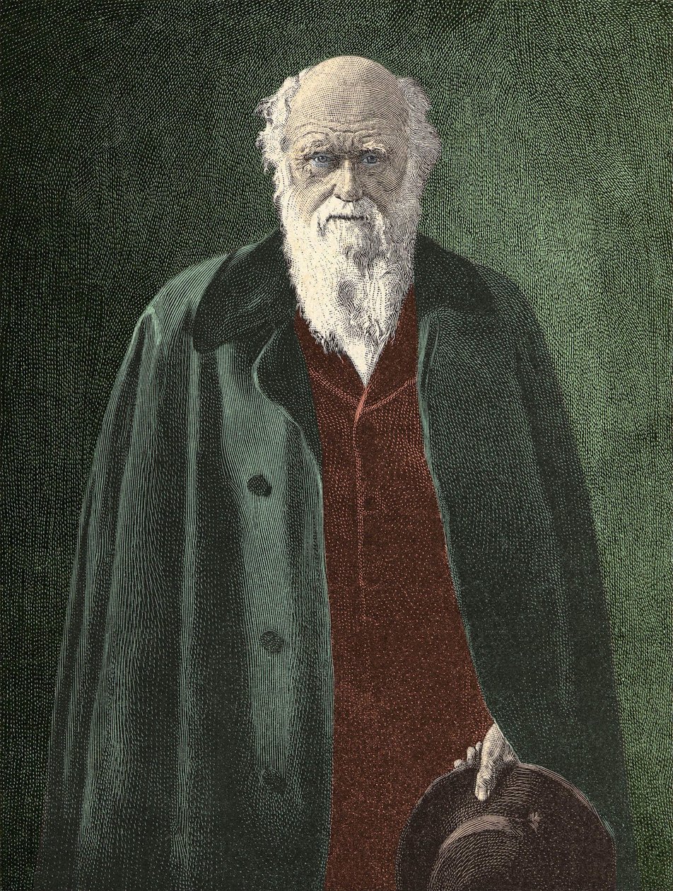Retrato de Charles Darwin (1809 - 1882) de Unknown artist