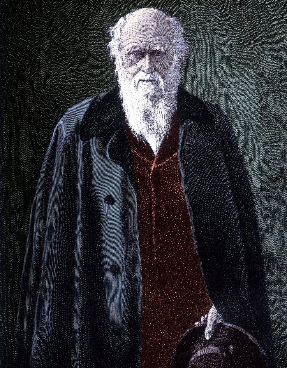 Retrato de Charles Darwin, naturalista británico (1809 - 1882) de Unknown artist