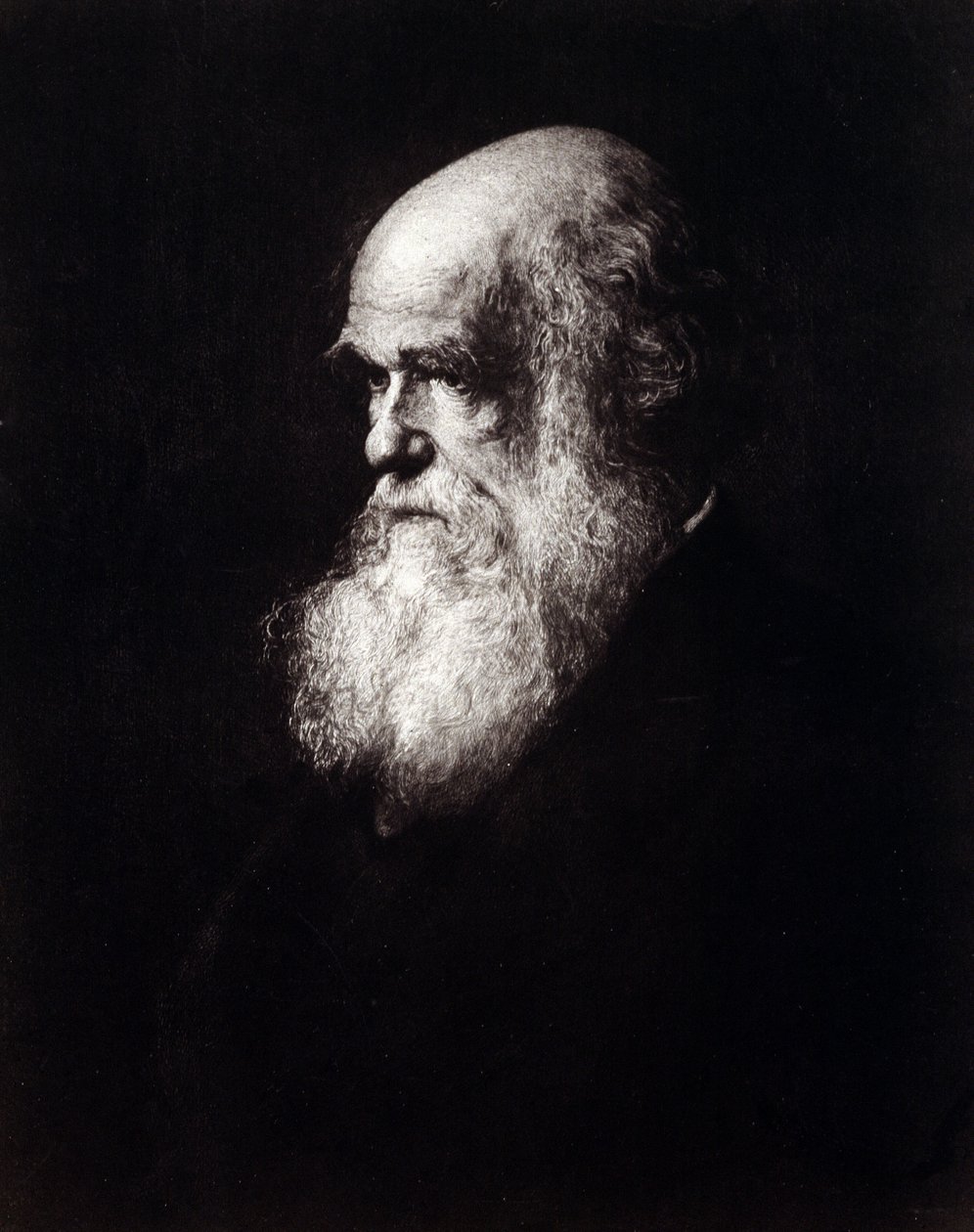 Retrato de Charles Robert Darwin (1809 - 1882) de Unknown artist