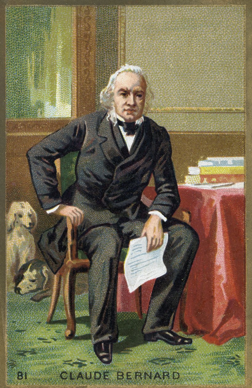 Retrato de Claude Bernard (1813-1878), fisiólogo francés de Unknown artist