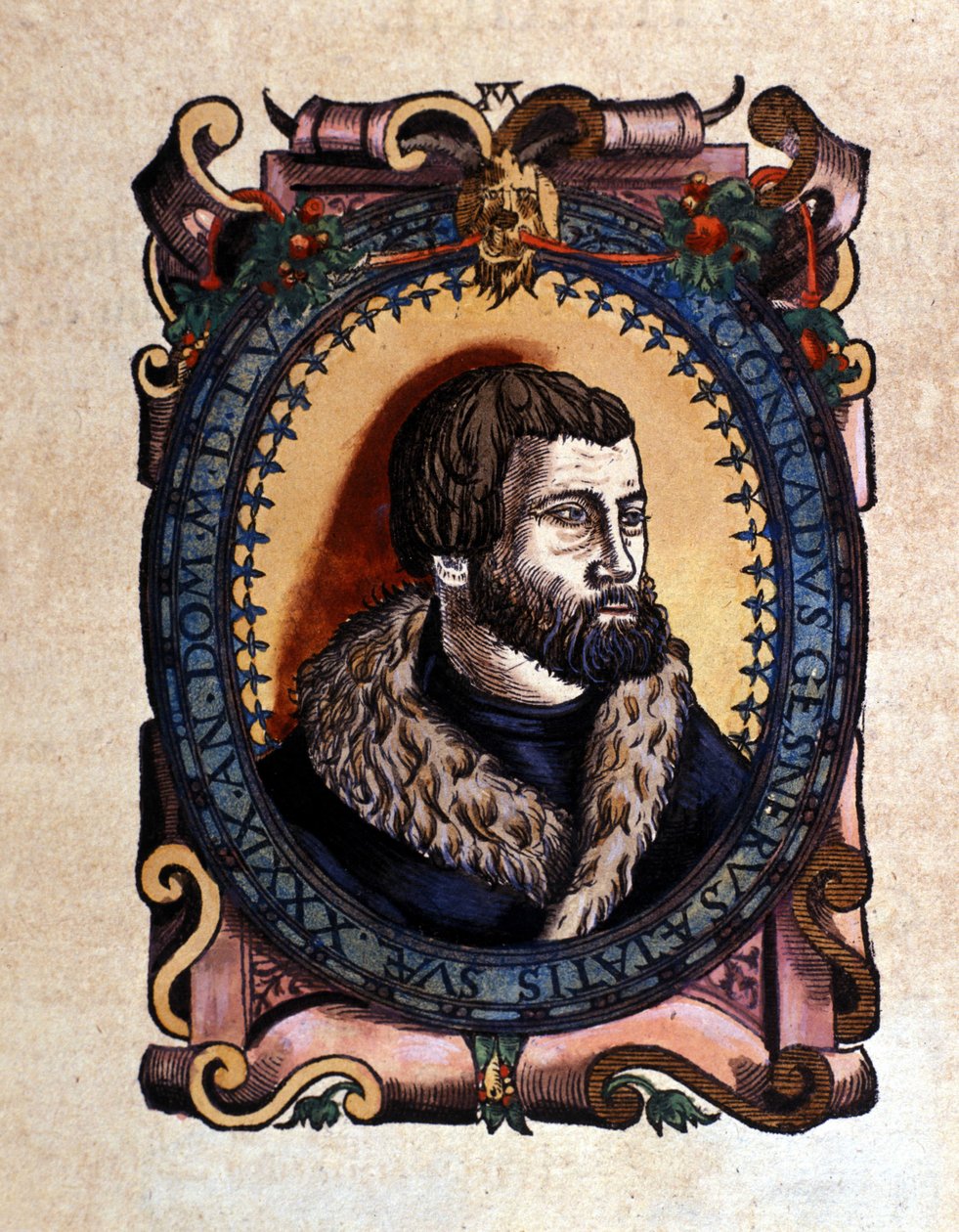 Retrato de Conrad Gesner (1516 - 1565) médico de Zúrich después de la Historia Animalium de Conrad Gesner, Tiguri 1560. Biblioteca Nacional Braidense. Milán de Unknown artist
