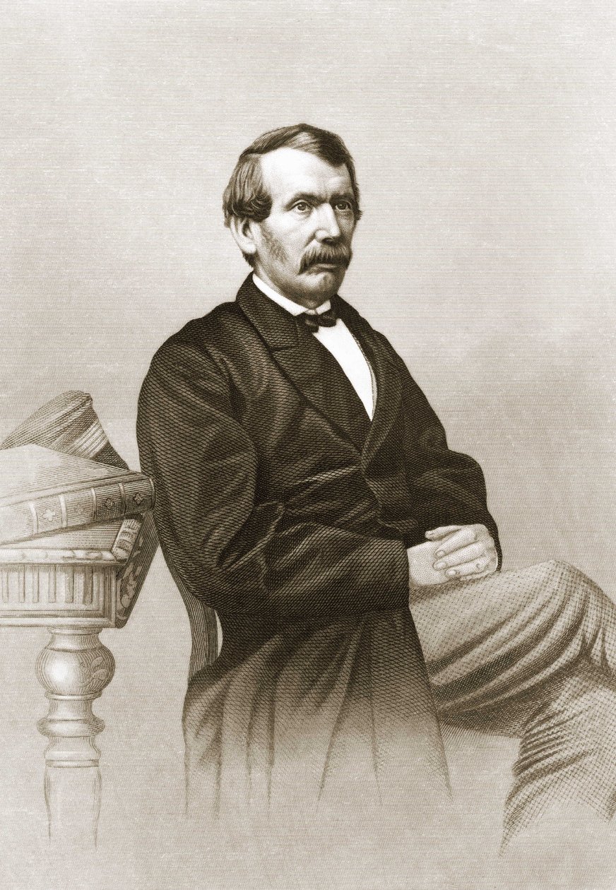 Retrato de David Livingstone (1813 - 1873) de Unknown artist