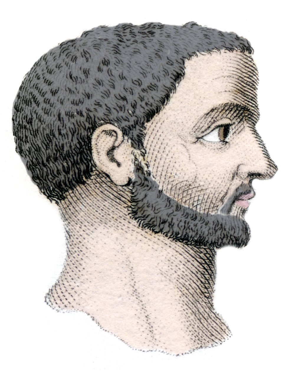 Retrato de Diocleciano (Gaius Aurelius Valerius Diocletianus, 245-316), Emperador Romano de 284 a 305 de Unknown artist
