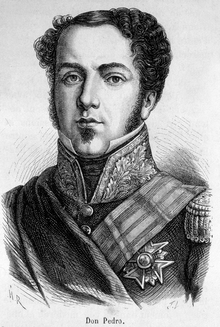 Retrato de Don Pedro de Unknown artist