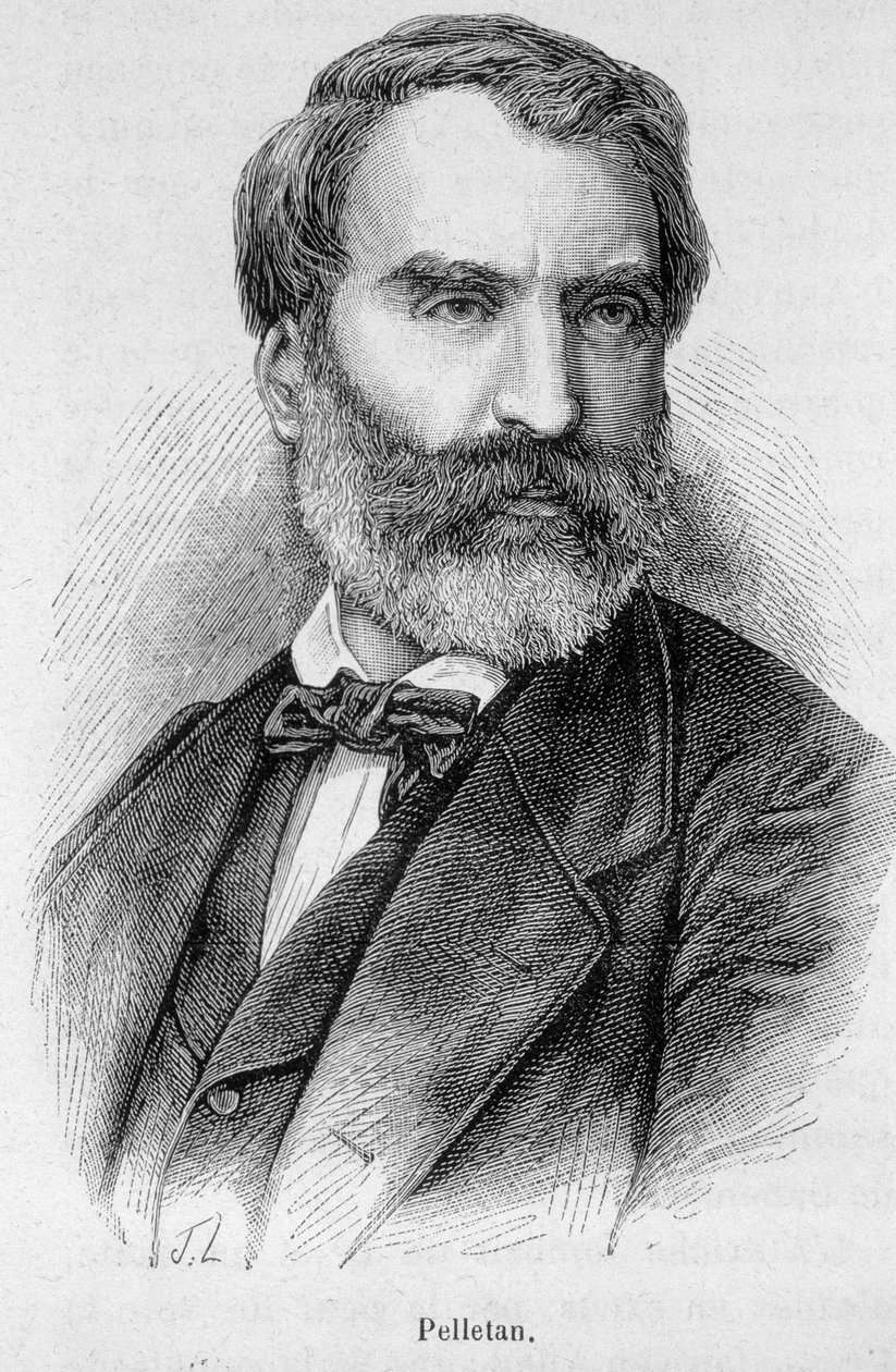 Retrato de Eugene Pelletan (1813-1884), periodista, escritor y político francés. de Unknown artist