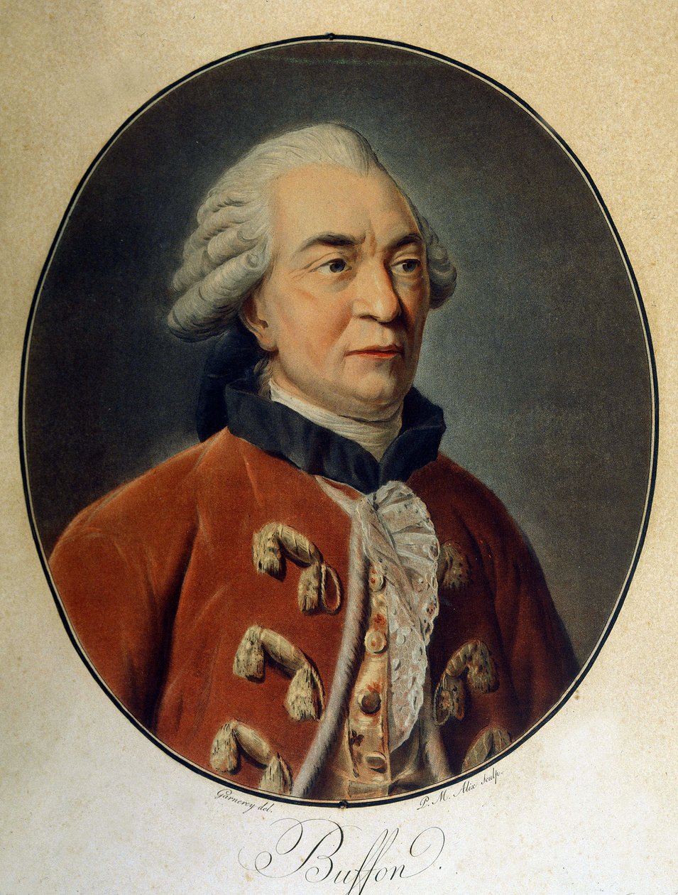 Retrato de Georges Louis Leclerc, Conde de Buffon (1707 - 1788), naturalista y escritor francés. de Unknown artist