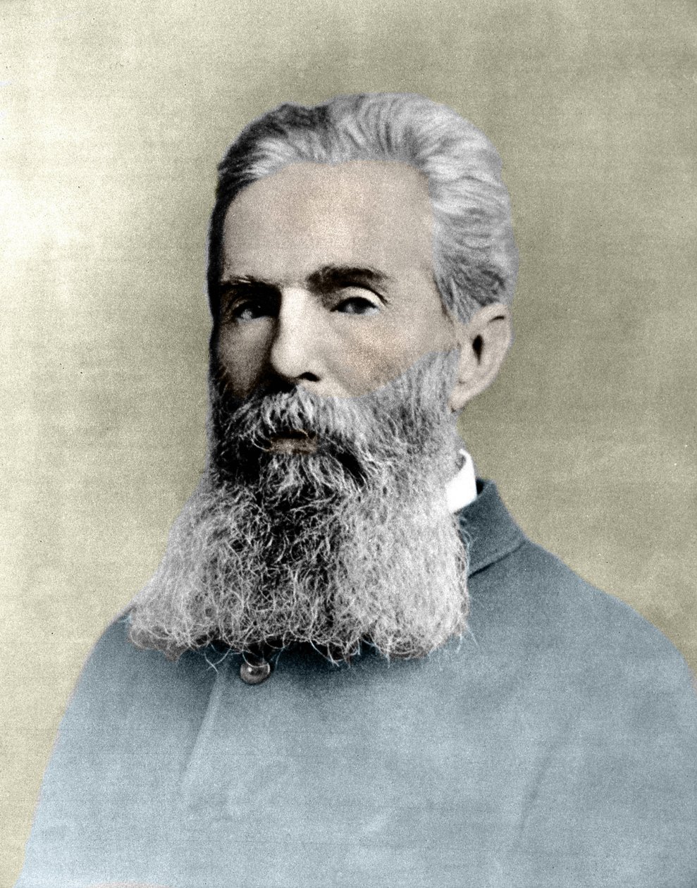 Retrato de Herman Melville (1819-1891) novelista estadounidense de Unknown artist
