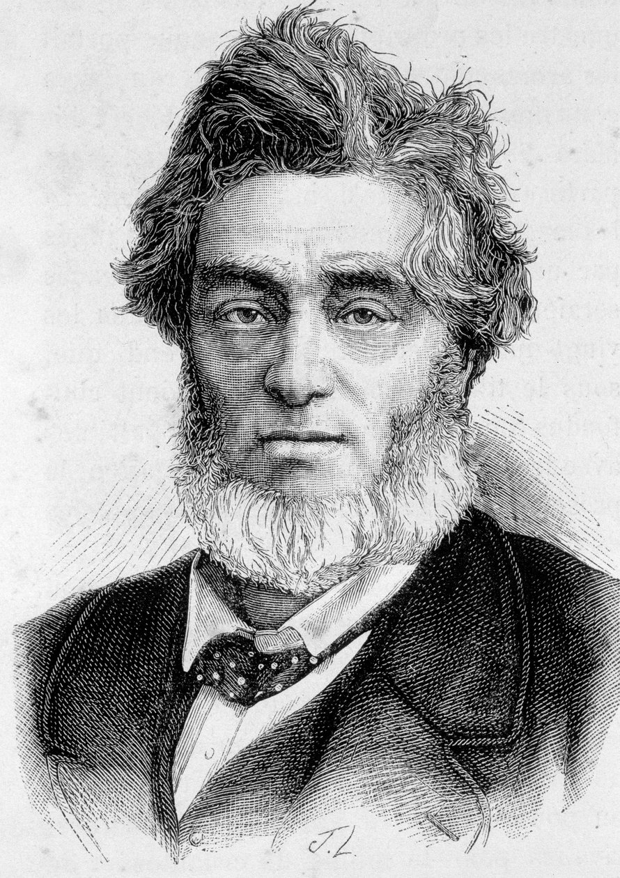 Retrato de Jules Favre (1809 -1880), político francés de Unknown artist