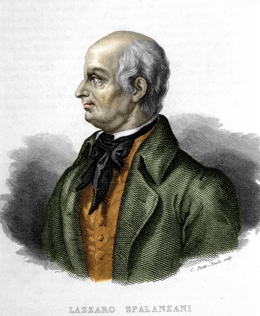 Retrato de Lazzaro Spalanzani (o Spallanzani), biólogo italiano (1729 - 1799) de Unknown artist