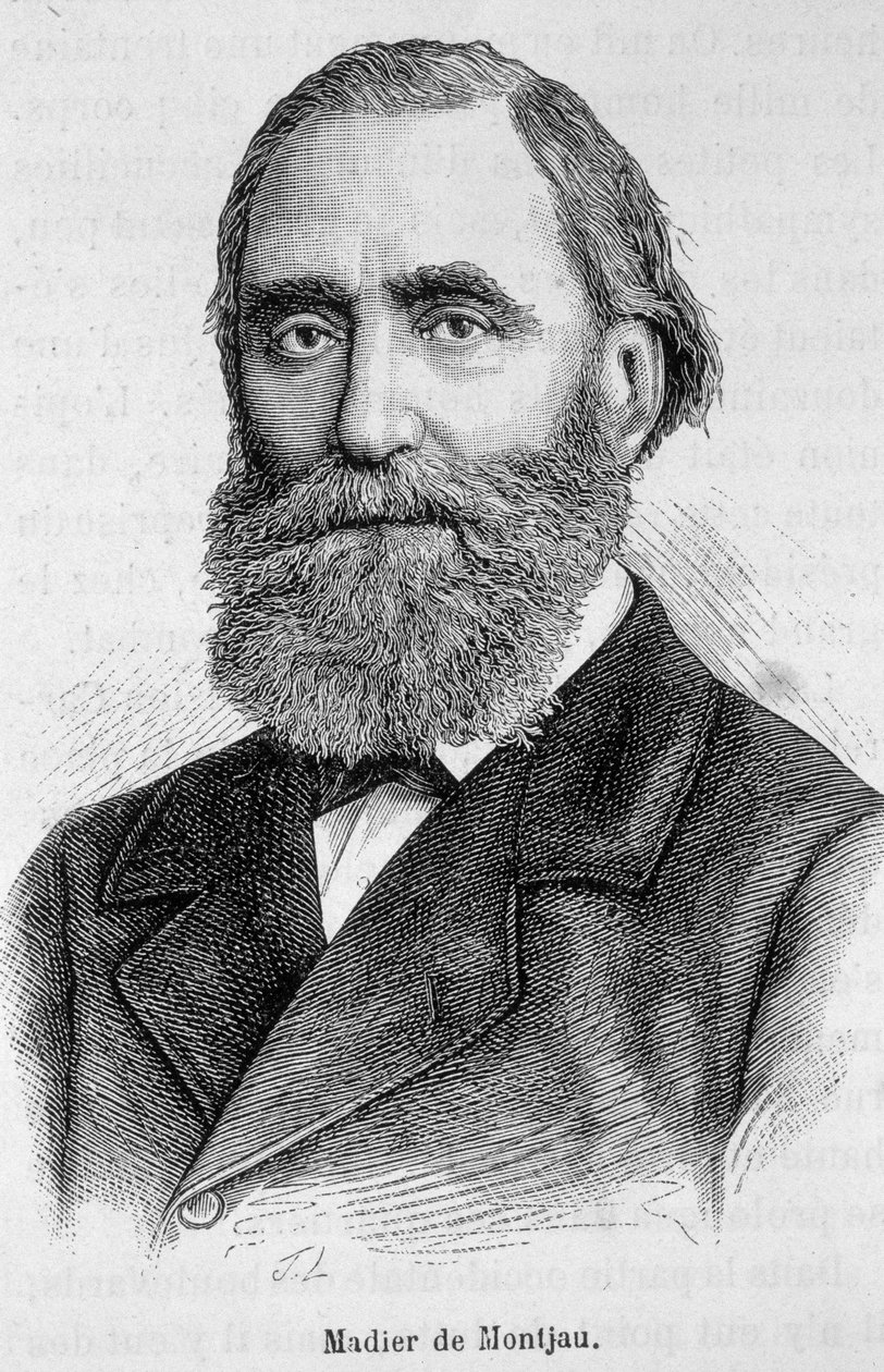 Retrato de Madier de Montjau, parlamentario francés del siglo XIX de Unknown artist