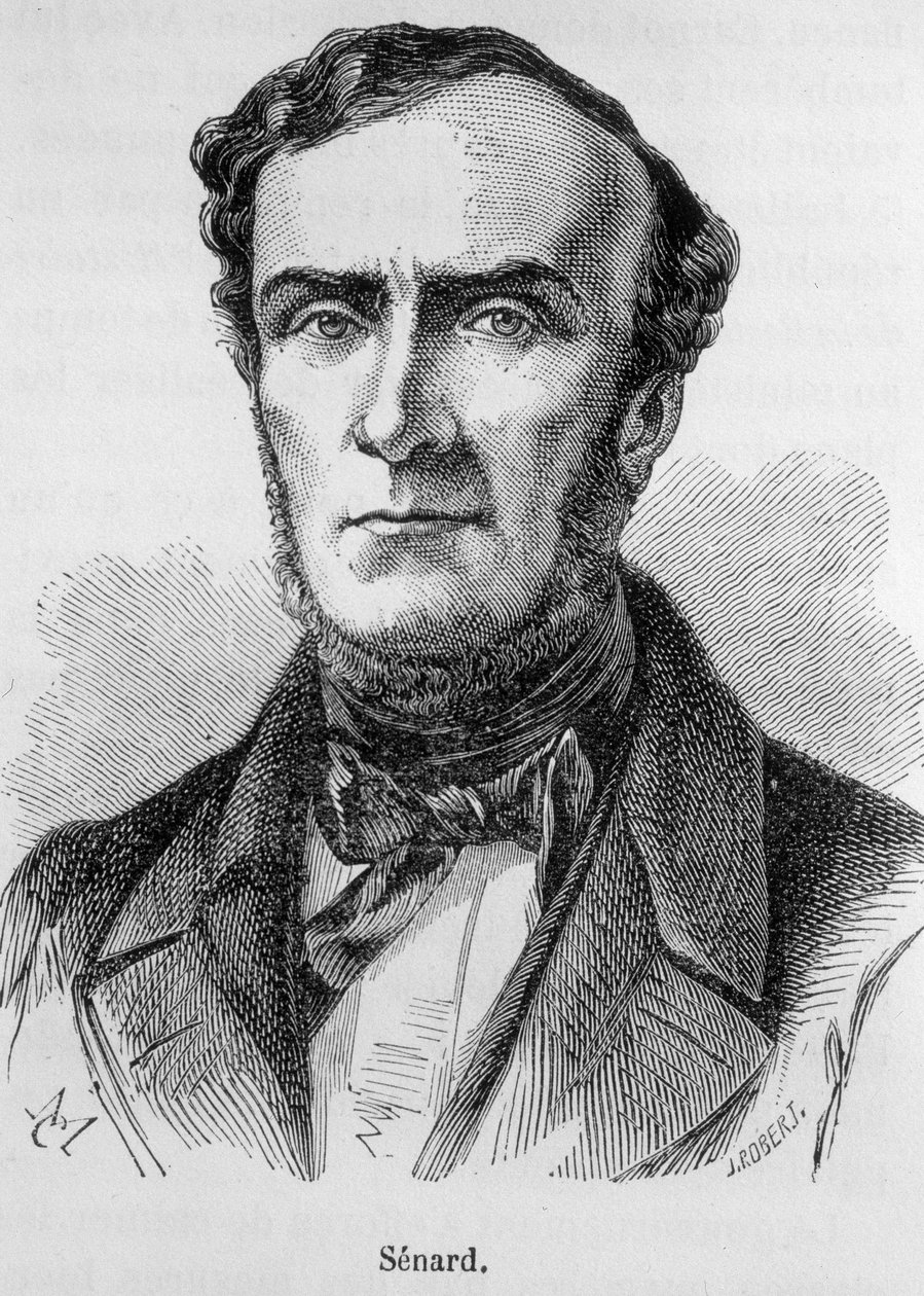 Retrato de Marie Antoine Jules Senard, miembro del Colegio de Abogados de París, ex Presidente de la Asamblea Nacional y ex Ministro del Interior. Defendió a Gustave Flaubert durante el juicio tras la publicación de Madame Bovary. Grabado del siglo XIX de Unknown artist