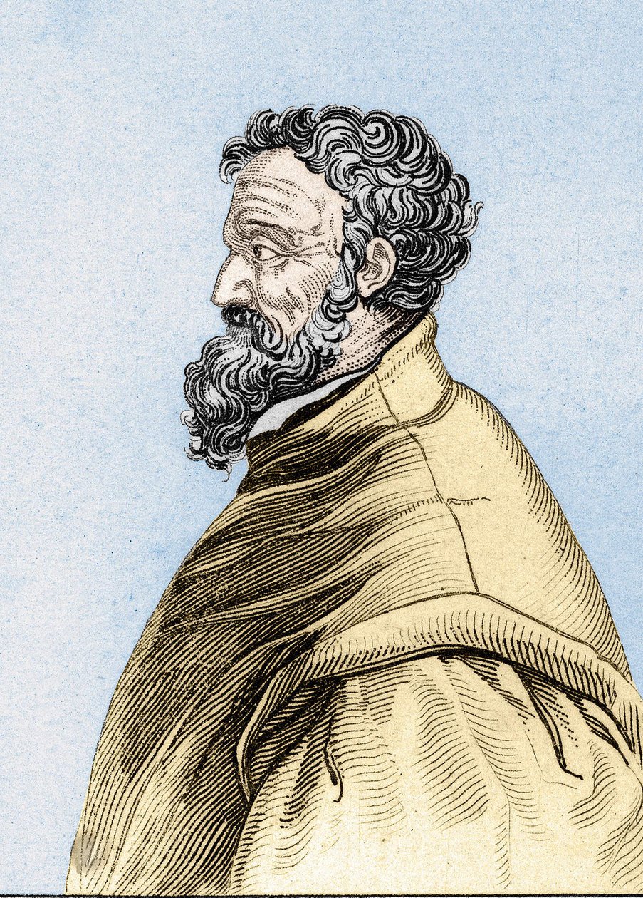 Retrato de Michelangelo Buonarroti de Unknown artist