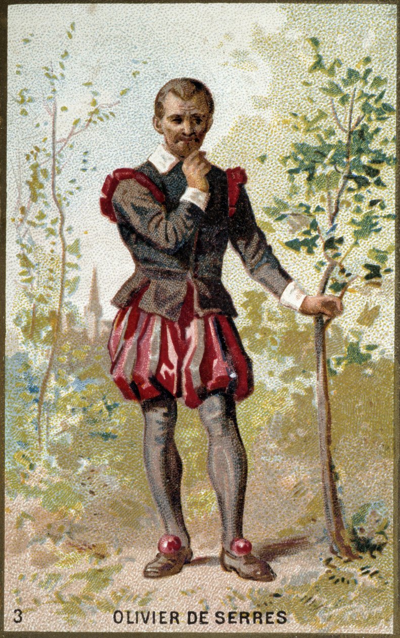 Retrato de Olivier de Serres (1539 - 1619), agrónomo francés. Cromolitografía del siglo XIX. de Unknown artist