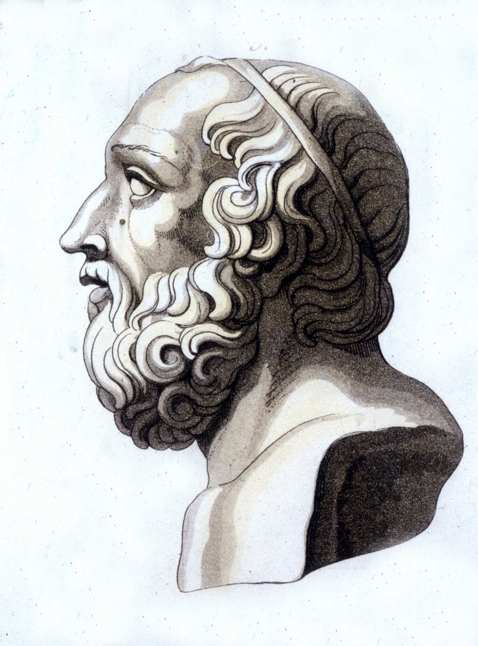 Retrato de Platón (-428; -348) de Unknown artist