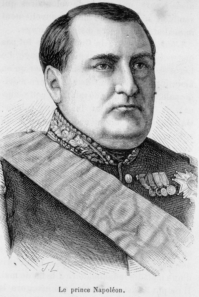 Retrato del Príncipe Napoleón de Unknown artist