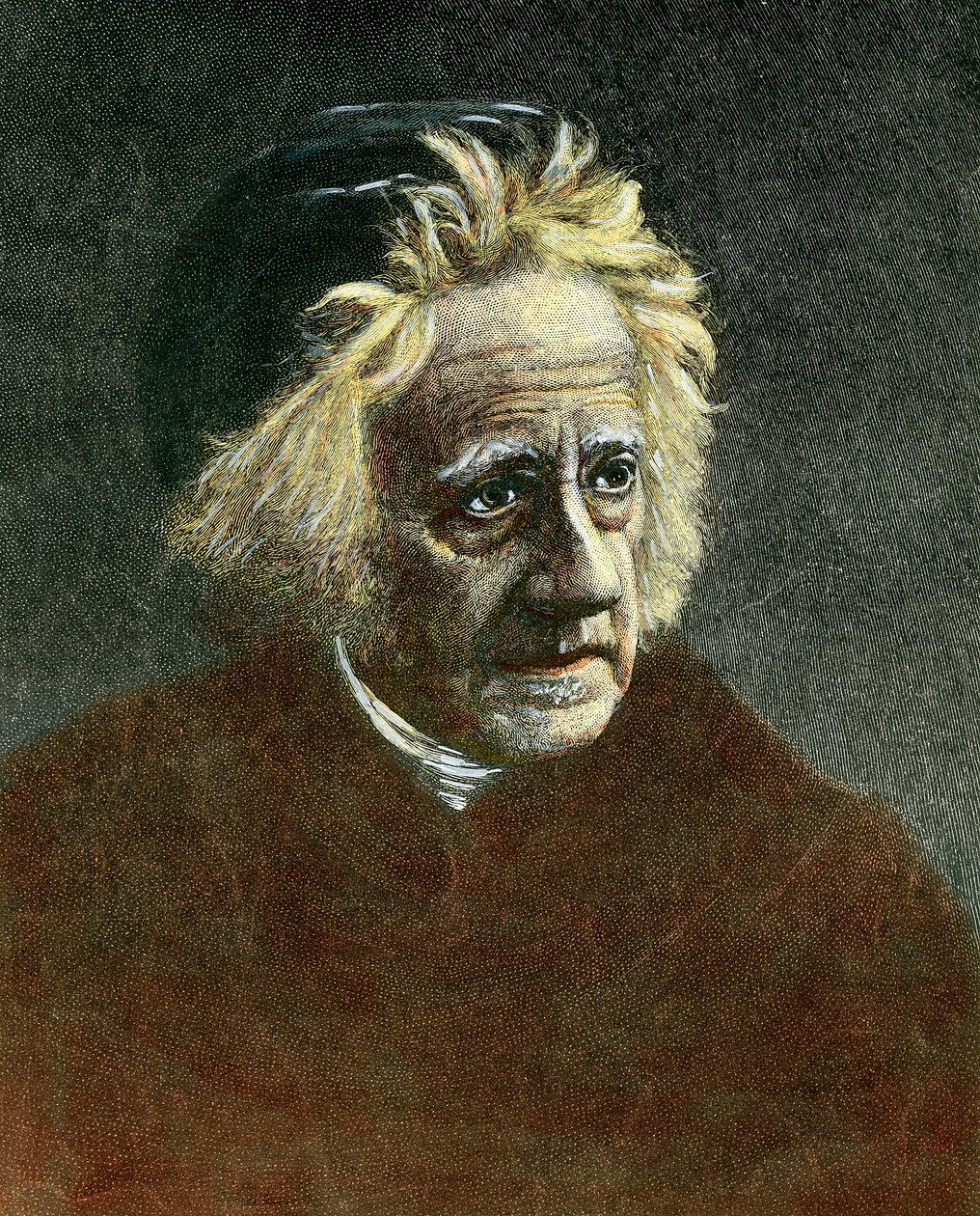 Retrato de Sir John Herschel de Unknown artist