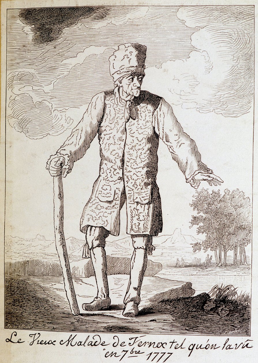 Retrato de Voltaire (1694-1778), escritor y filósofo francés, anciano de Unknown artist