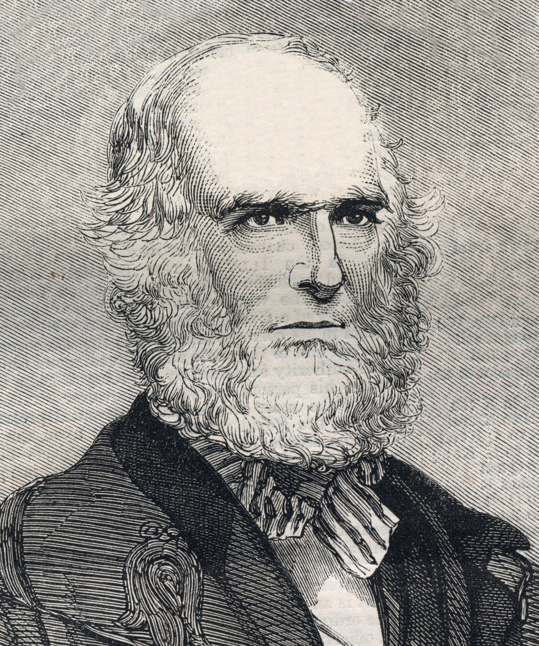 Retrato de William Cullen Bryant (1794-1878), poeta estadounidense. Grabado en “The Illustrated London News” del 23 de enero de 1858. de Unknown artist