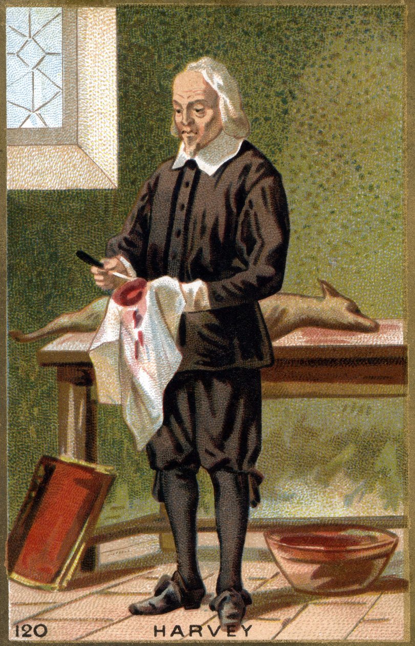 Retrato de William Harvey (1578 - 1657), médico inglés. Cromolitografía del siglo XIX de Unknown artist
