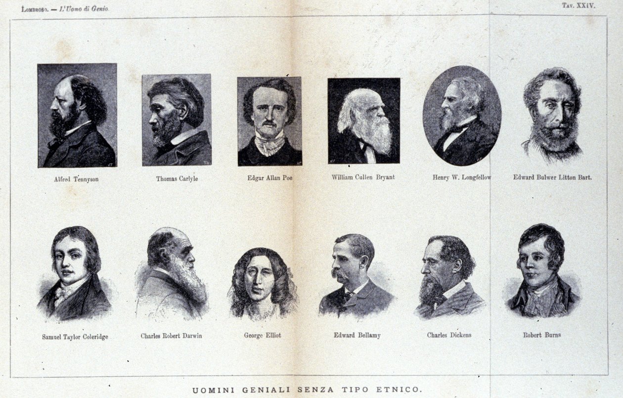 Retratos de diferentes hombres de genio. Estudio publicado en "El hombre de genio" de Cesare Lombroso (1835-1909) de Unknown artist