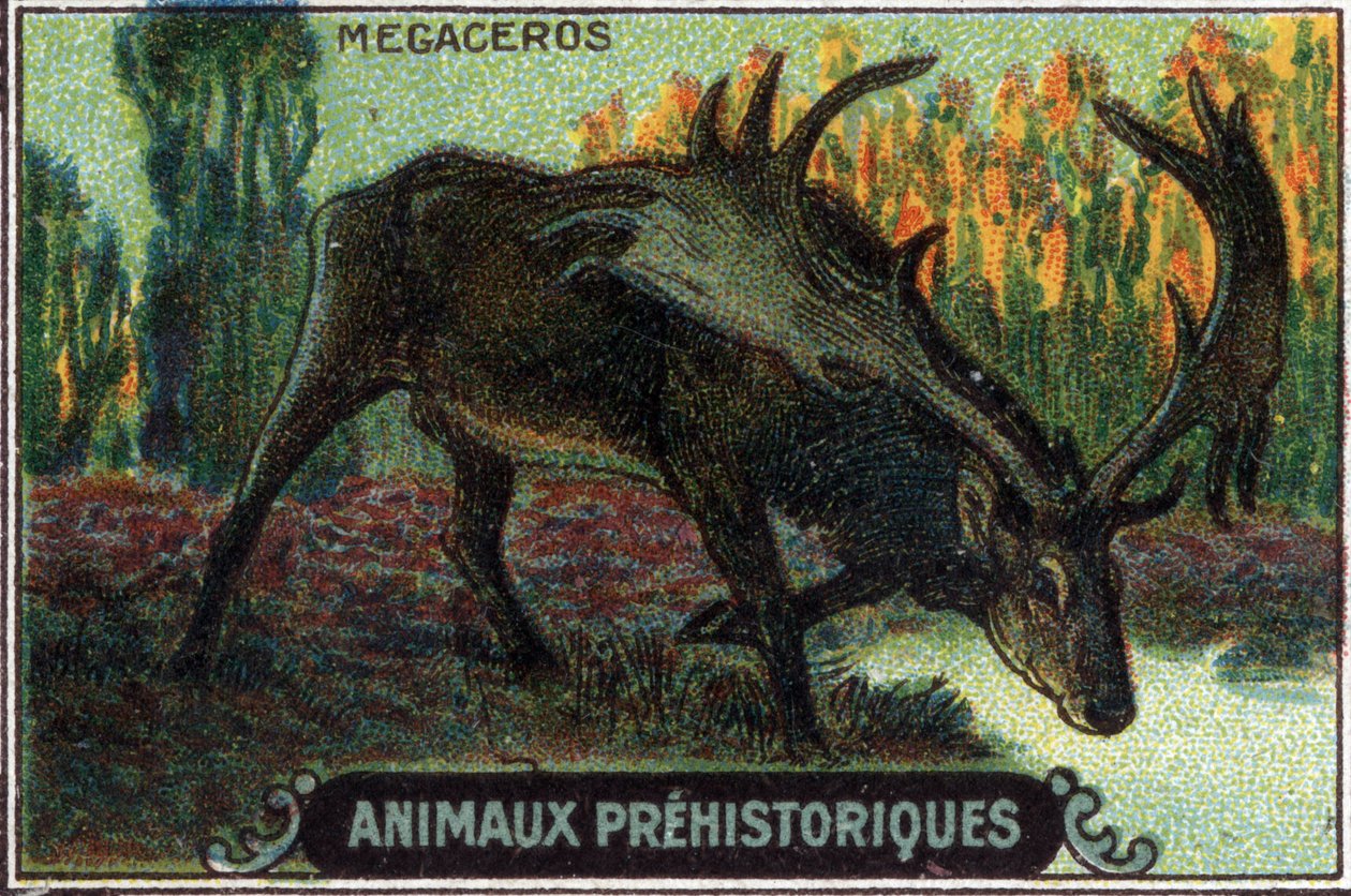 Prehistoric animal: a megaceros. de Unknown Artist