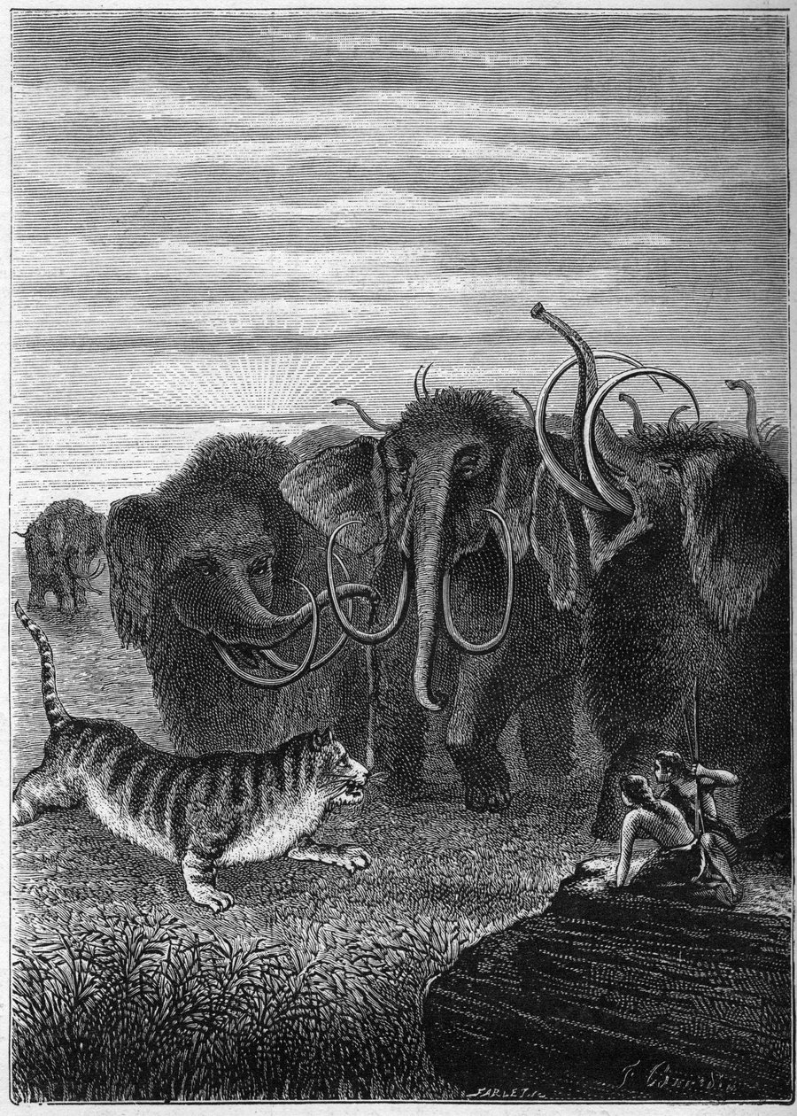 Prehistoria: Mamuts y gato gigante de las cavernas. Grabado de "París antes de la historia" por Elie Berthet. de Unknown artist