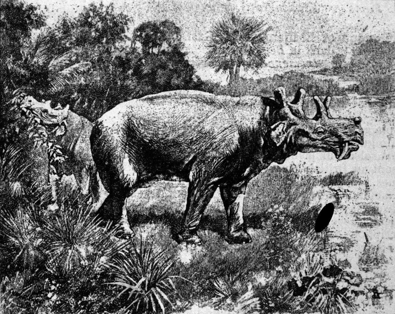 Prehistoria: representación de un dinosaurio Uintatherium de cuatro cuernos de Unknown artist