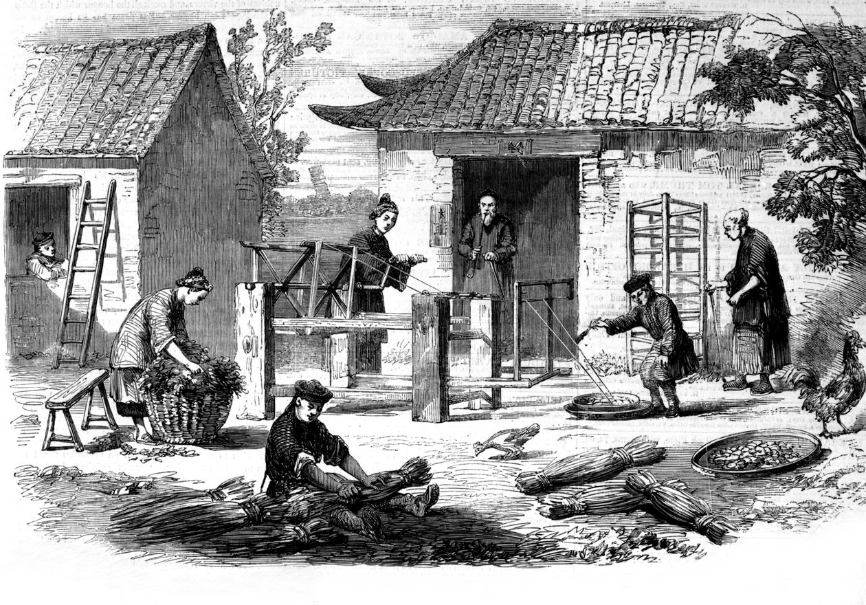 Producción de seda en China y las diversas etapas de fabricación de Unknown artist