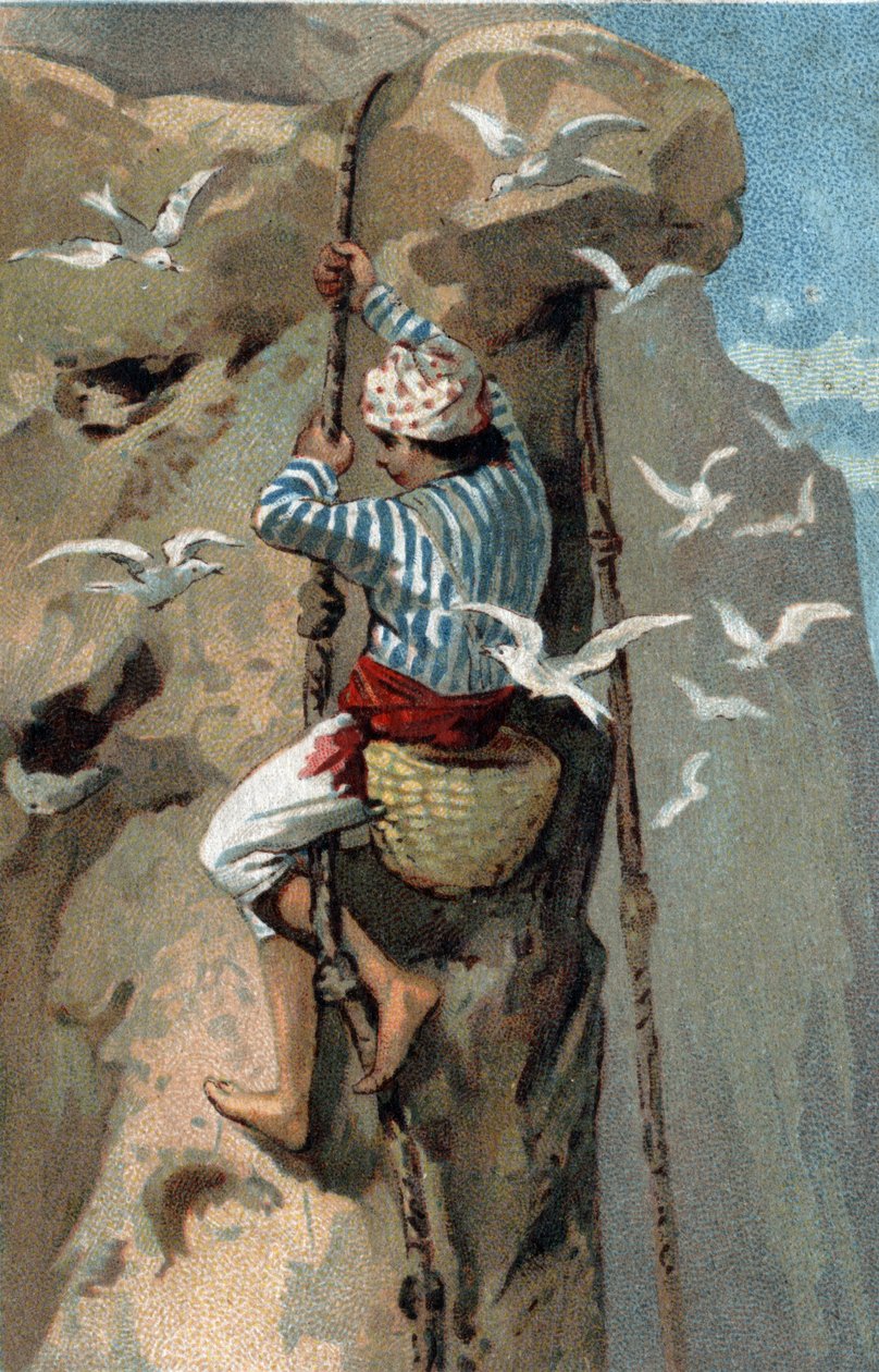 Recolección de nidos de golondrinas salanganas en Malasia. Cromolitografía de finales del siglo XIX de Unknown artist