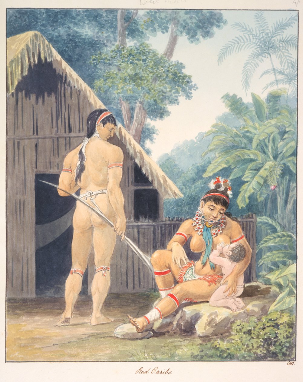 Caribes rojos, c.1843-50 (acuarela) de Unknown artist