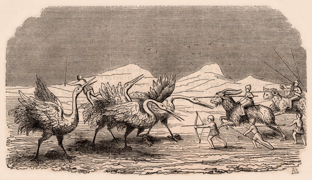 Representación de tribus medievales y especies animales: grupo de pigmeos luchando contra grullas de Unknown