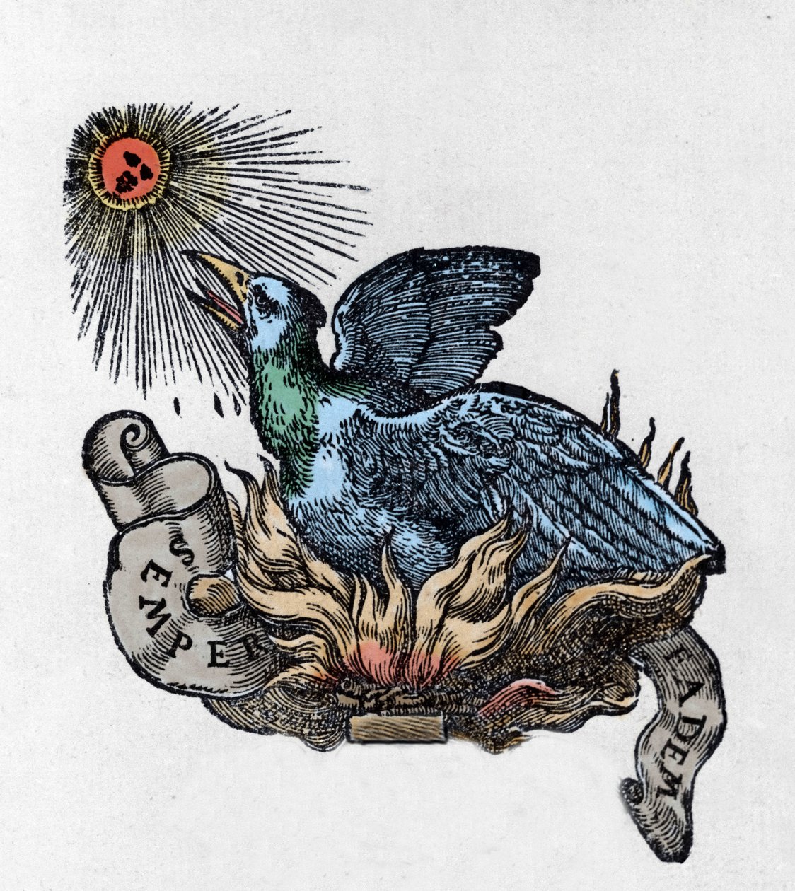 Representación de un Fénix, ave legendaria que renace de sus cenizas. Grabado del siglo XIX de Unknown artist