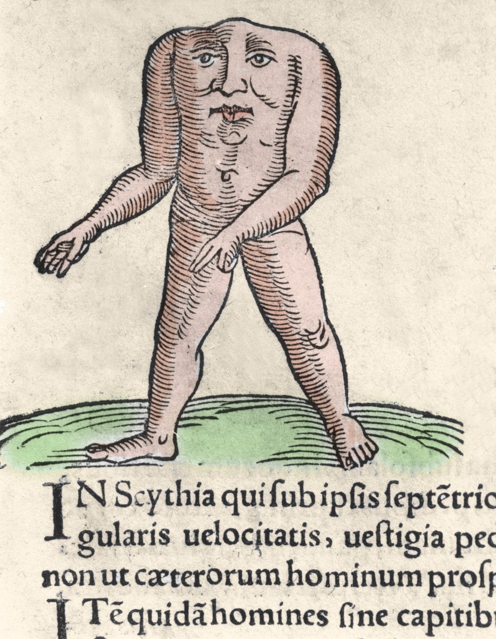 Representación de un miembro de la tribu Blemmyi en Nubia, descrito sin cabeza, sin cuello y con la cara en el tronco según Plinio el Viejo. Grabado de “Prodigiorum ac ostentorum chronicon” de Conrad Lycosthenes (1518-1561). 1557. de Unknown artist